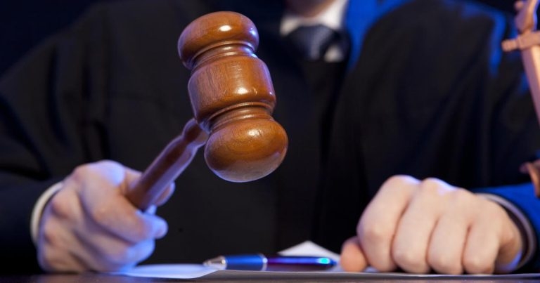 Vet struck off over dog microchip removal