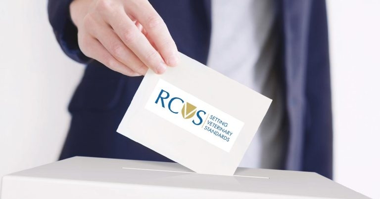 Record votes in RCVS and VN council elections