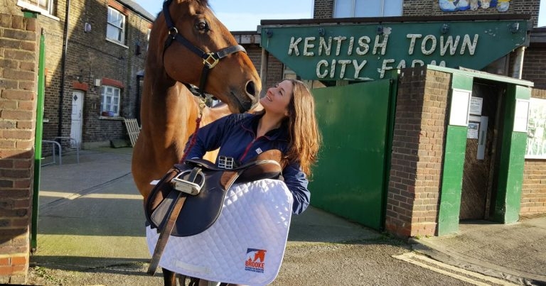Profession can saddle up for animals in need