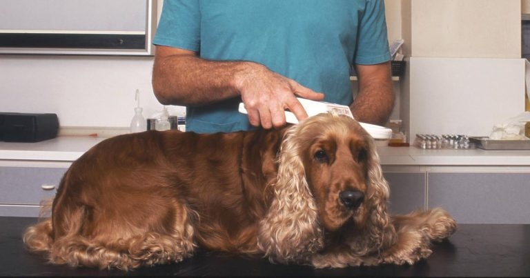 Microchip survey highlights data problems