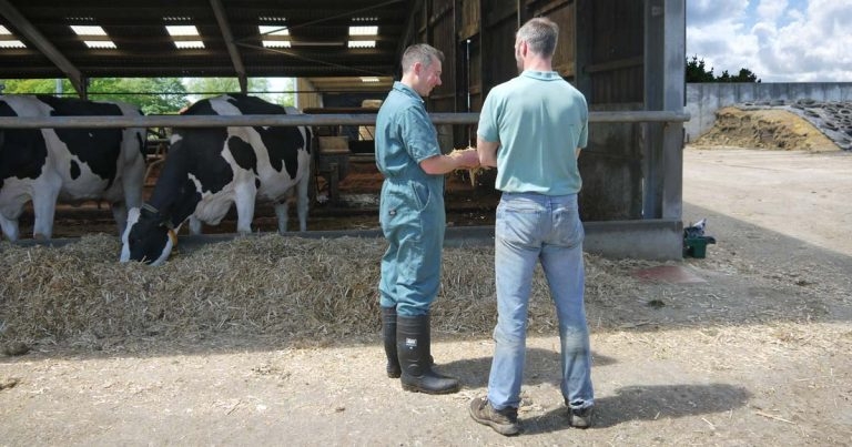 Implementing dairy herd health plans and how to convey key messages