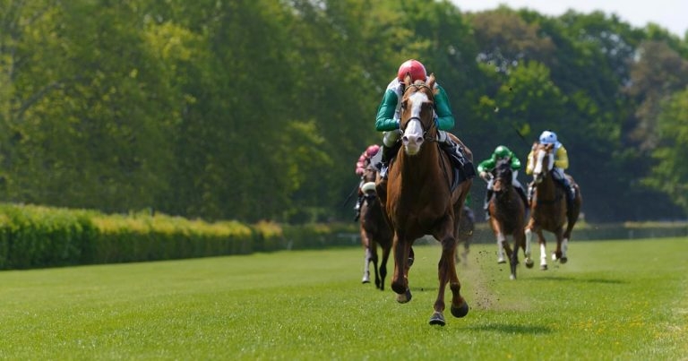 RVC-led study to help vets investigate lameness