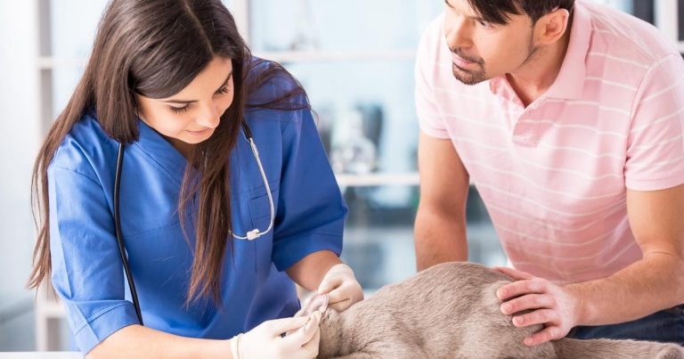 Nurse: practices should take NHS lead to create ‘link’ VNs