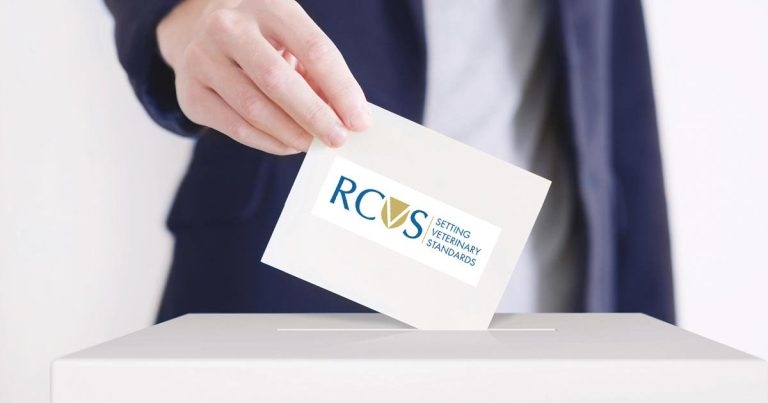 Elections’ highest turnout still ‘relatively small’ – RCVS