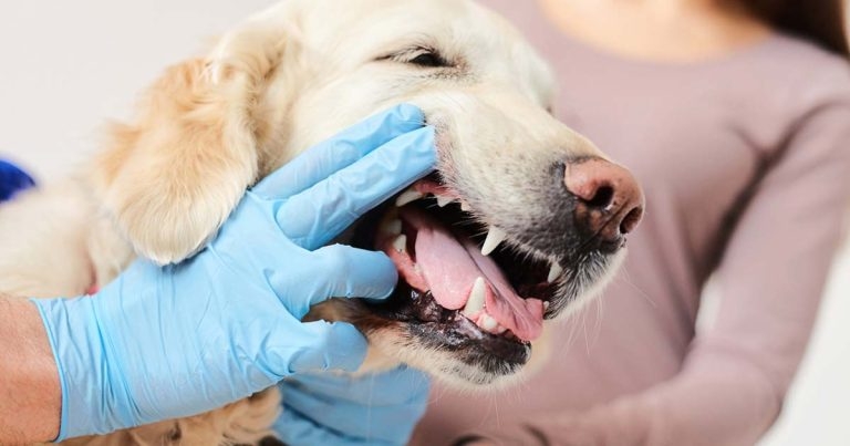 Fully charged – part 2: closing the deal