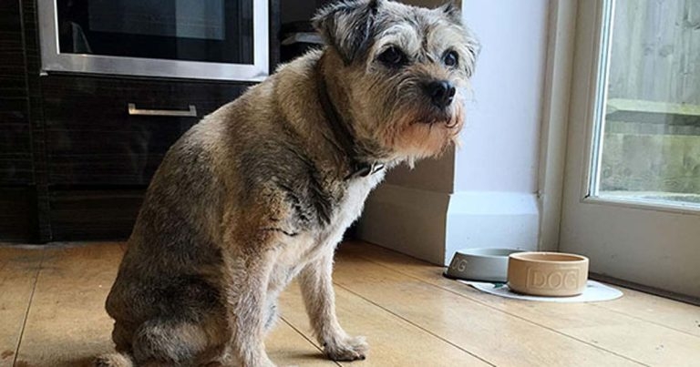 Multimodal approach to OA: part 2