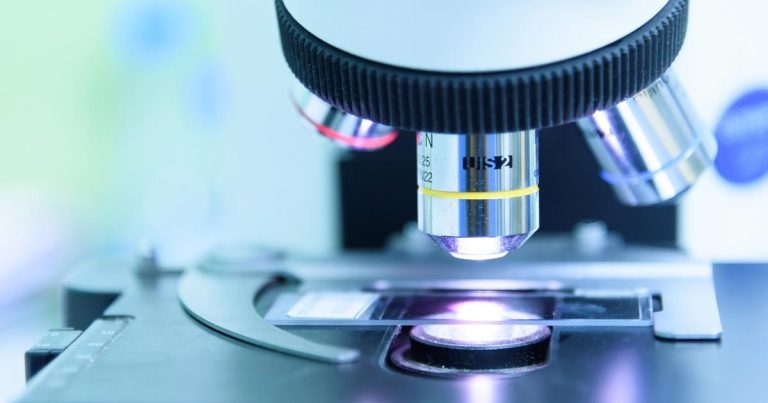 Local anaesthesia in dog dentistry