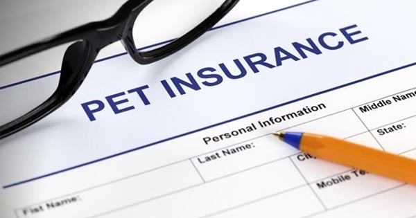 Insurer refreshes pre-existing health conditions policy