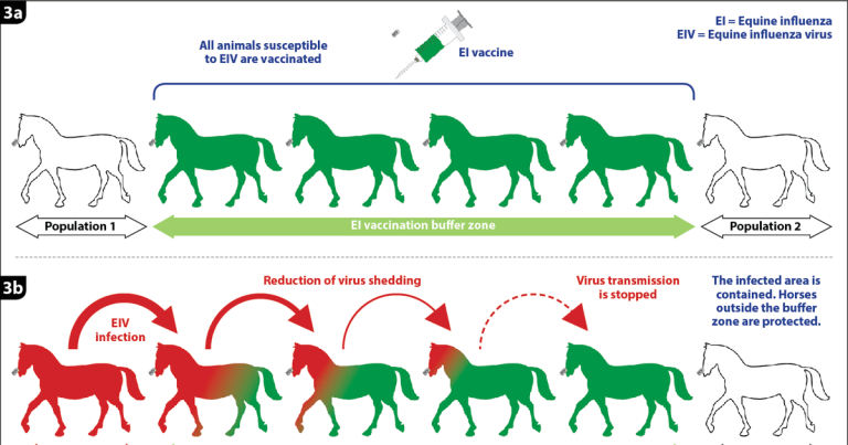 Equine influenza: threat lurking below waterline
