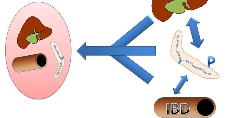 Update on feline chronic inflammatory GI disorders