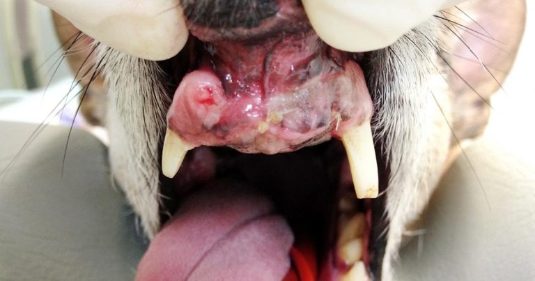 Guidelines and techniques to use for tumour sampling