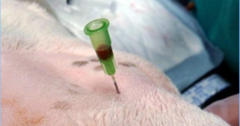 Regional anaesthesia: ensuring successful pain relief – part 1