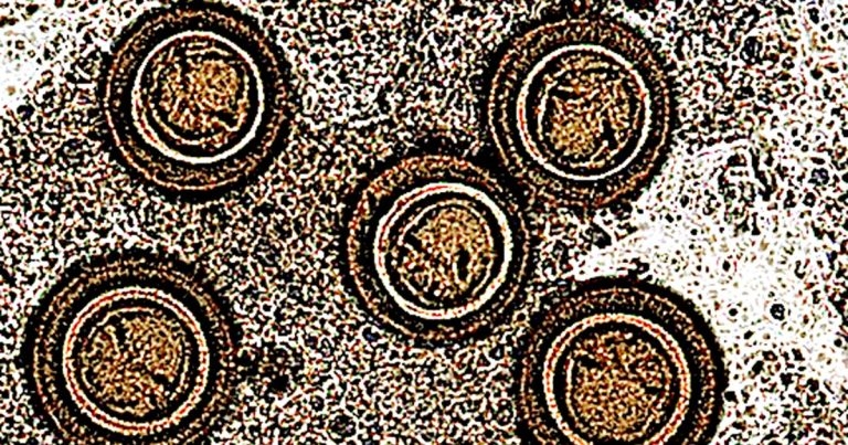 Endoparasites: innovations and advice to give owners