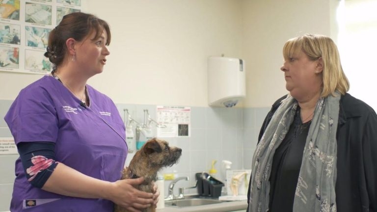 Sounding out otitis externa