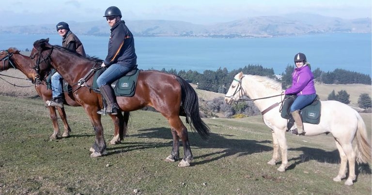 Weight limitations in horse riding: how big is too big?