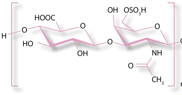 Glucosamine and chondroitin in managing canine and feline OA
