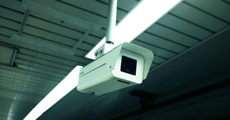 BVA welcome for Scottish abattoir CCTV