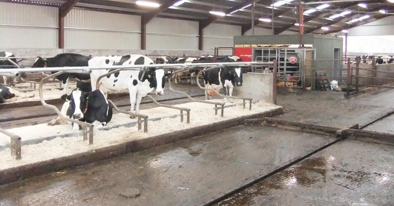 Mastitis control in robotic milking systems