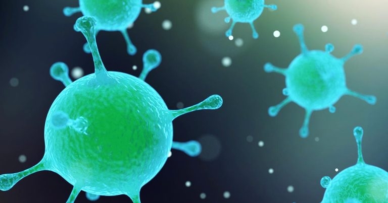 Relevance of novel small animal viruses in UK veterinary practice