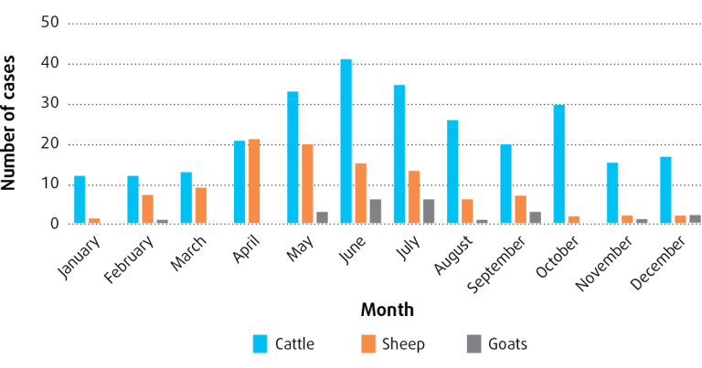 Coccidiosis in cattle: UK prevalence update and latest guidance