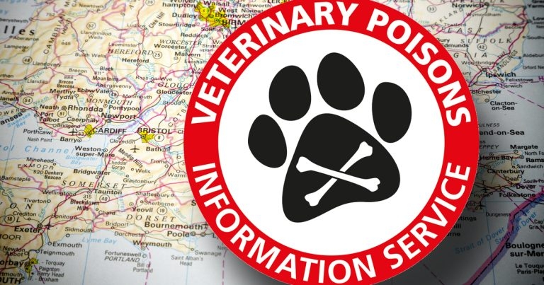 VPIS announces regional events on small animal poisoning