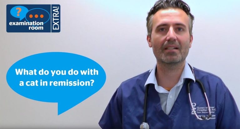 Examination Room Extra! Feline diabetes mellitus, pt 2: remission