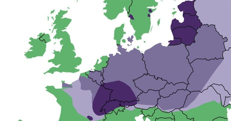 Controlling tapeworm part 2: threat from overseas