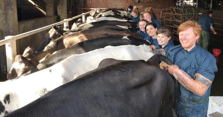 Reluctant hero: veterinary role in on-farm biosecurity