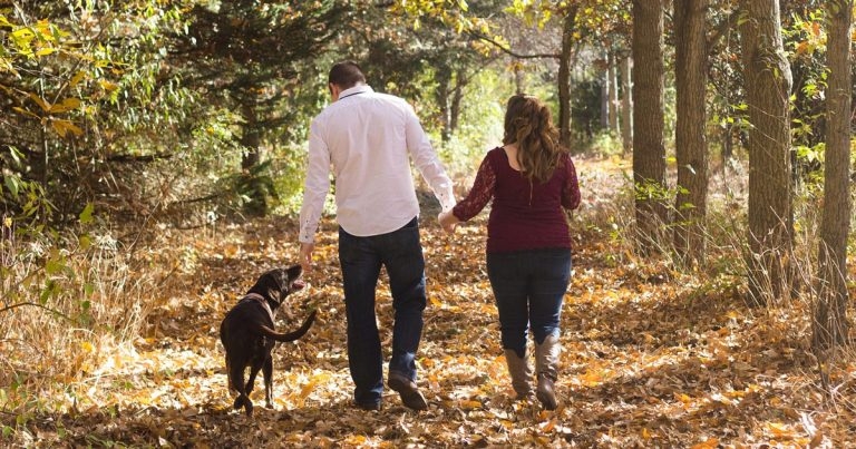 Welfare crisis highlighted as PFMA survey shows big numbers gave up pets last year