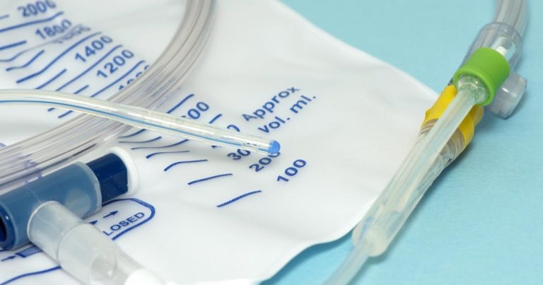 Urinary catheters in dogs – placement and maintenance tips