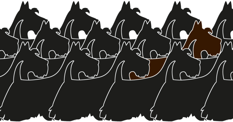 Epilepsy management: more than just drug administration