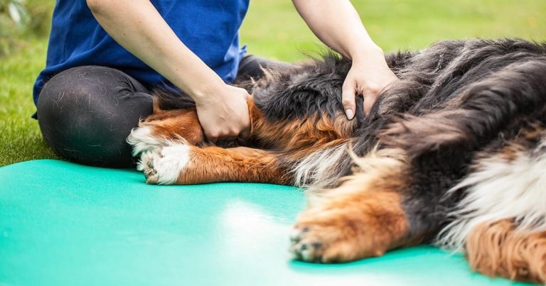 Chronic pain: a look at latest management and treatment