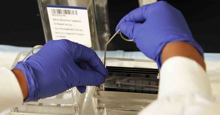 Bovine genomic selection