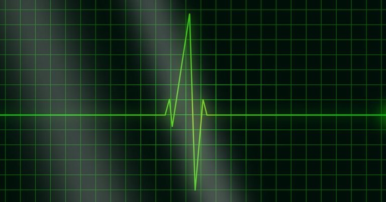 Cardiology anaesthesia: updates in small animal patients