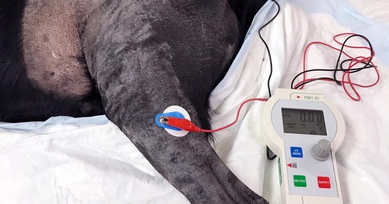 Anaesthesia and analgesia: innovations and guidance