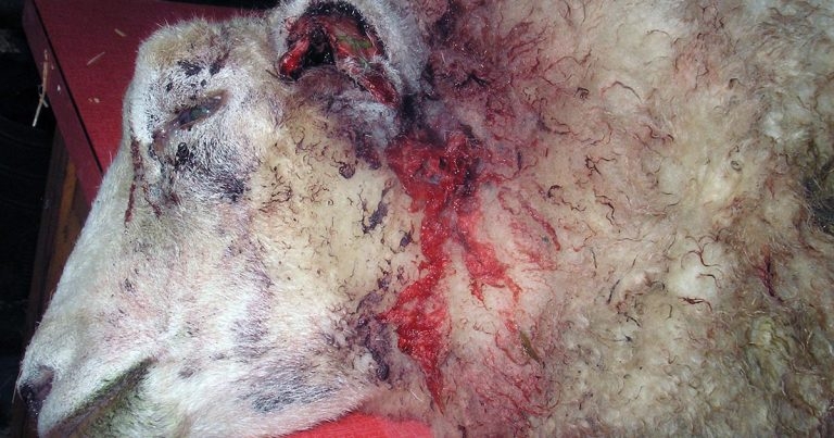 Creating client relationships