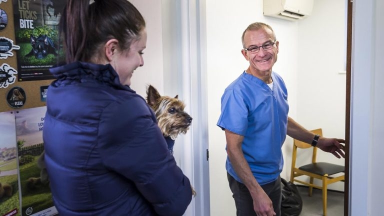 Practice profile: Seadown Veterinary Group