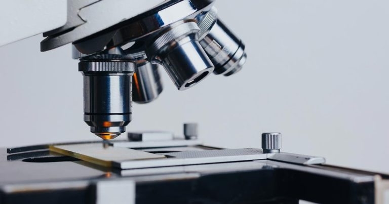 Association of serum vitamin D with immune function in dogs