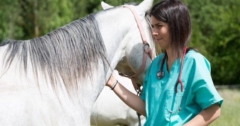 BEVA launches ‘smoother’ selling protocol