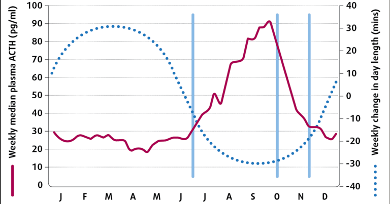 Equine PPID: do current diagnostic tests give practitioners all the answers?