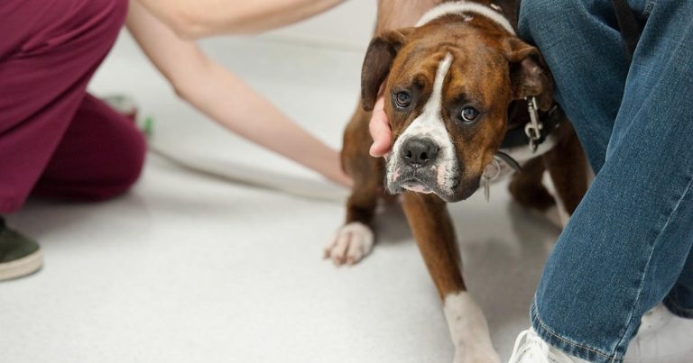 Eye on EBVM: asking the right questions