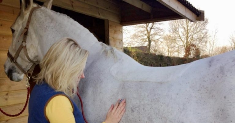 Equine influenza: links between practice and expert organisations