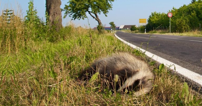 Lack of progress with TB: what are the hard facts?