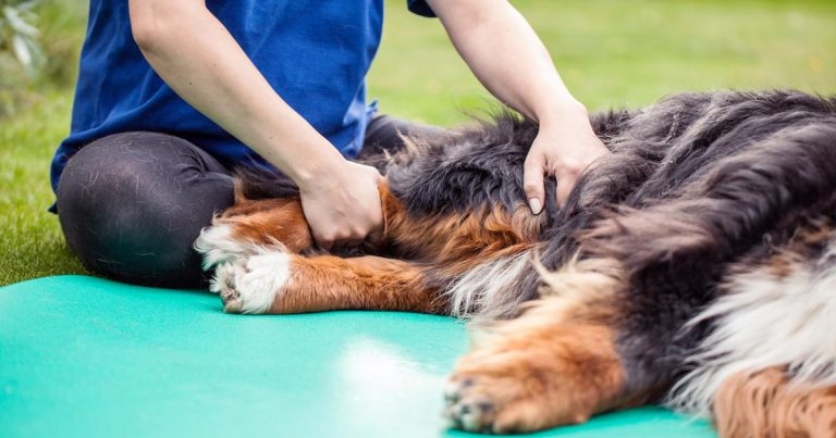 Novel approaches to OA management