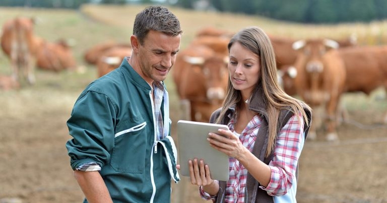 Managing key business data