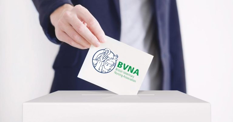 BVNA announces results of council elections