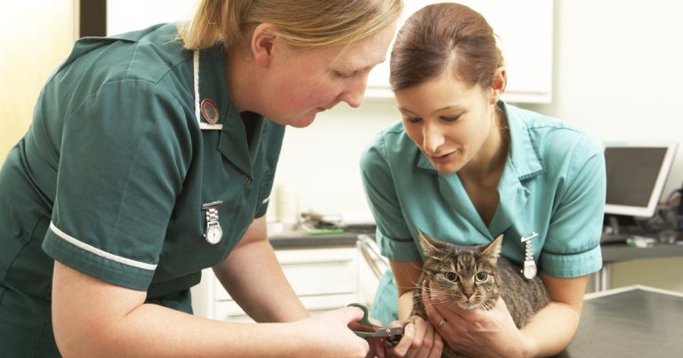 First VN apprentice completes Central Qualifications assessment