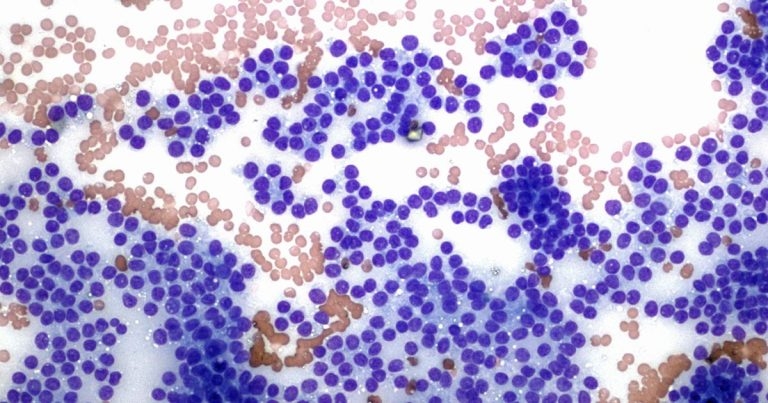 Ventral neck mass in a dog