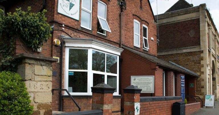 Practice Profile: Northlands Veterinary Hospital