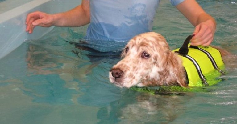 Holistic OA management: an overview